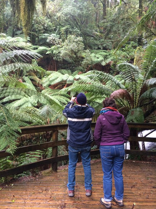 3 - Day Adelaide To Melbourne Tour - We Wander