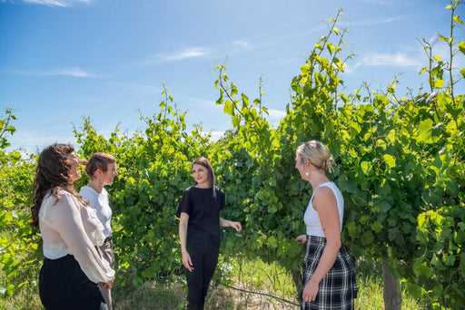 Explore, Wine & Dine In Mclaren Vale