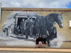 Collie Town Mural Tour Half Day - We Wander