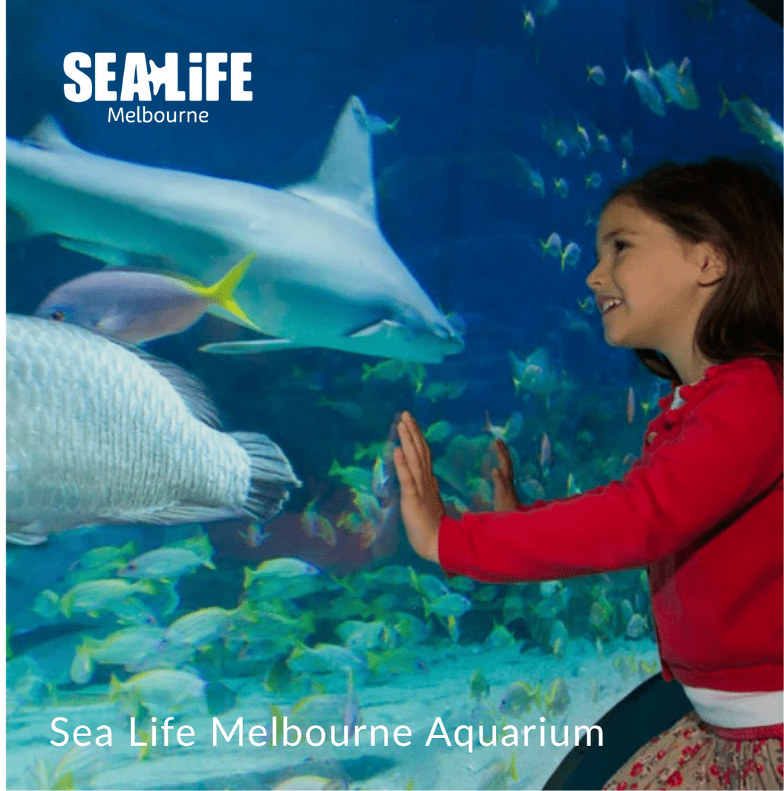 Essential - Experience Portfolio for business - We Wander