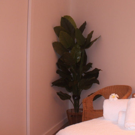 Nama Signature Facial At Float Oasis - We Wander