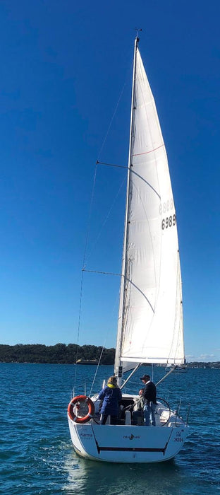 Snorkel With Sea Dragons - We Wander